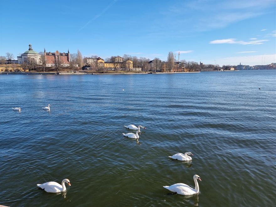 Stockholm gav mig nytt. Ett svanparadis. Att aldrig vara annat än nöjd över livet. Det är det bästa synsättet.